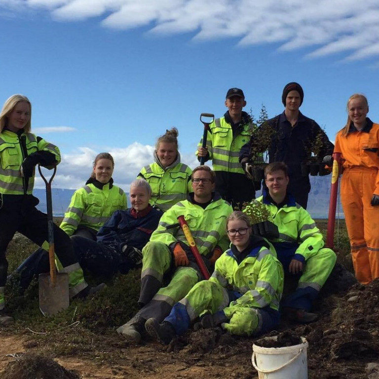 Glaðbeittur hópur ungmenna frá Blöndustöð Landsvirkjunar sveiflar haka og ræktar nýjan Brimnesskóg í Skagafirði.