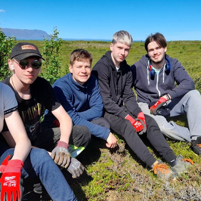 Skagafjörður. Endurheimt Brimnesskóga. Ungmenni frá Blöndustöð Landsvirkjunar 