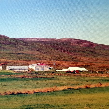 Dæli í Sæmundarhlíð í september 1997. Gamla húsið lengst til vinstri. Mynd: Byggðasaga Skagafjarðar 2. bindi.