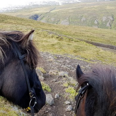 Íslensk náttúra á góðum degi. Mynd: PF.