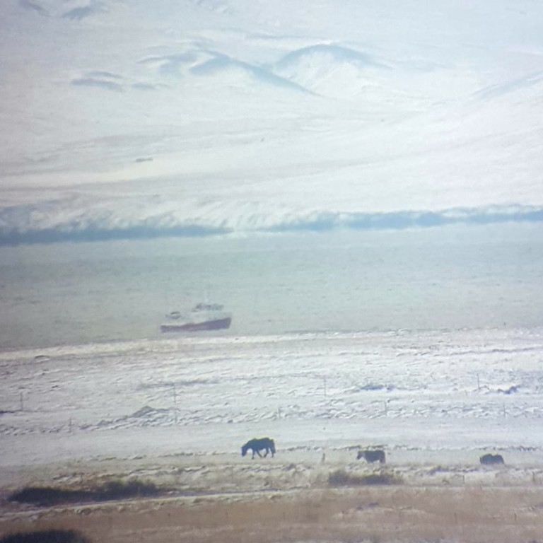 Dragnótabátur að veiðum á Skagafirði. Mynd: Elvar Már Jóhannsson.