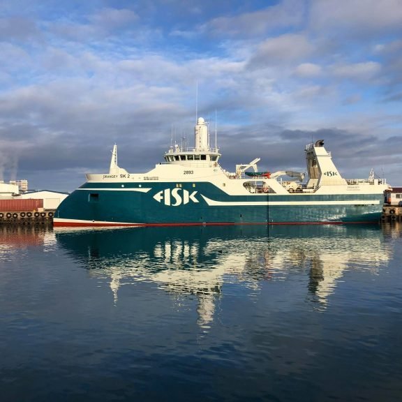 Dragney SK 2 - MYND: FISK.IS