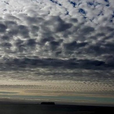 Vestlægar áttir og smá væta