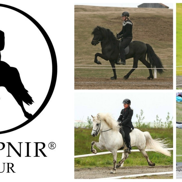 Draupnir/Þúfur keppir í KS-Deildinni í vetur