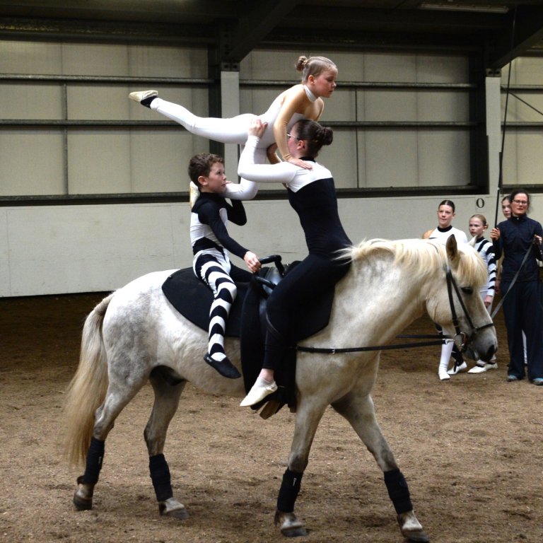 Dæmi um fimleikaatriði á hesti. Mynd: Hans Henning Lehmann.