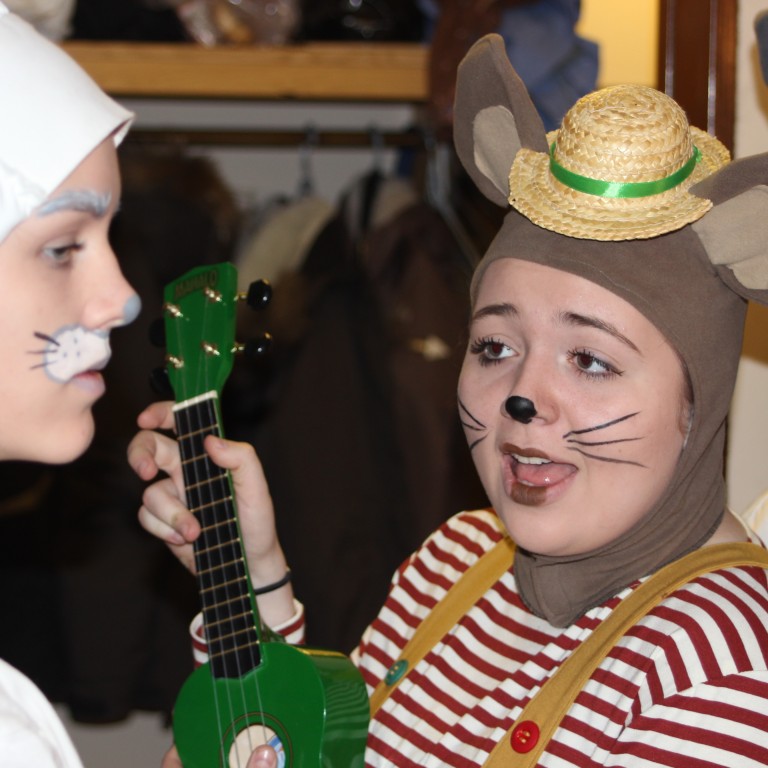 Aukasýningar á Dýrunum í Hálsaskógi