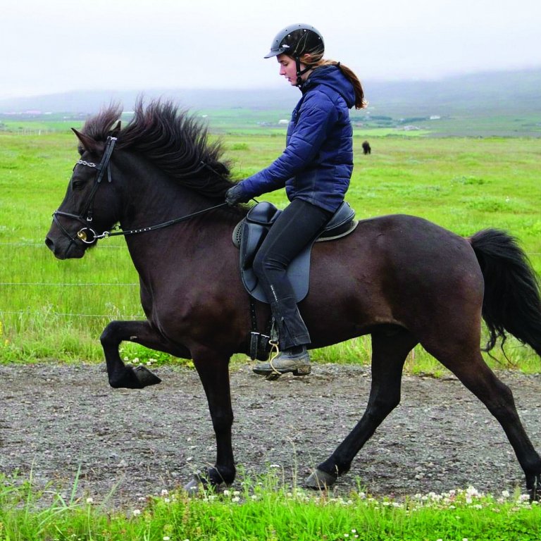 Vinirnir Klettur og Stefanía. AÐSEND MYND