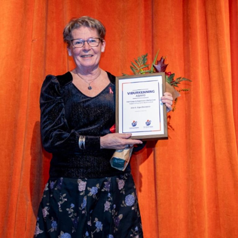 Elín S. Sigurðardóttir forstöðumaður Heimilisiðnaðarsafnsins á Blönduósi tekur við viðurkenningunni. MYND AF HÚNI.IS