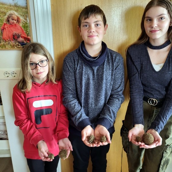 Elísabet Rán, Jón Konráð og Viktoría Ýr með vatnamýsnar sem þau fundu í fjörunni en stóra músin lengst til hægri er ættuð úr Vopnafirðinum. Myndir: PF.