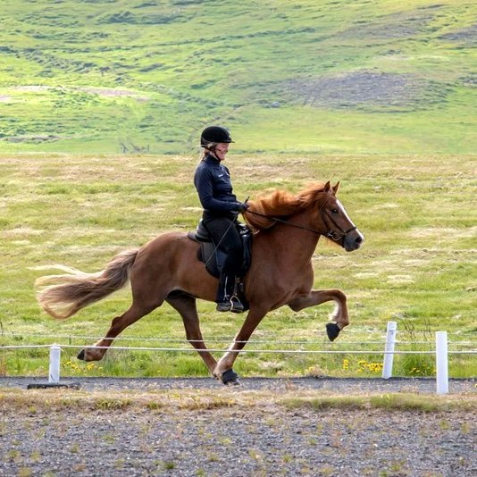 Flott par á þeysireið, Mette Manseth og Eygló frá Þúfum. Aðsend mynd.