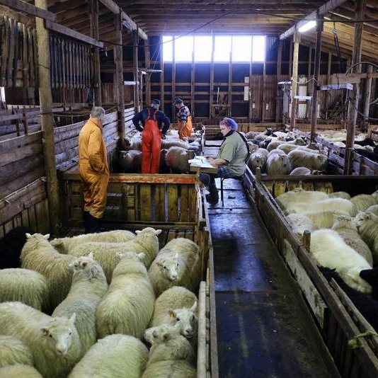 Mynd af vef stjórnarráðsins/Golli.