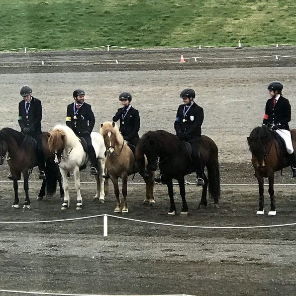 Tölt T1 opinn flokkur B úrslit. Mynd: Skagfirðingur.is