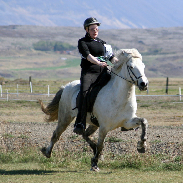 Steindóra Ólöf Haraldsóttir á Toppi f. Sandfellshaga 2 í firmakeppni Léttfeta 2012. Mynd: PF