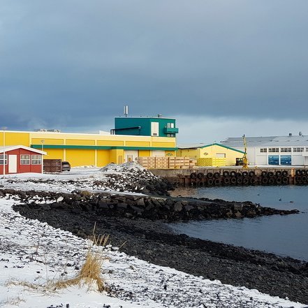 Fisk Seafood hlýtur jafnlaunavottorð