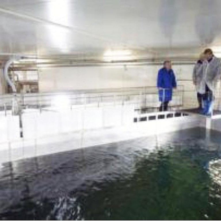 Mynd af heimasíðu Háskólans á Hólum.