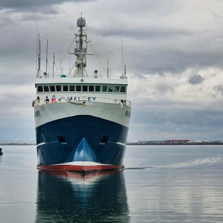 Málmey rennir í höfnina á Sauðárkróki. MYND: FISK.IS