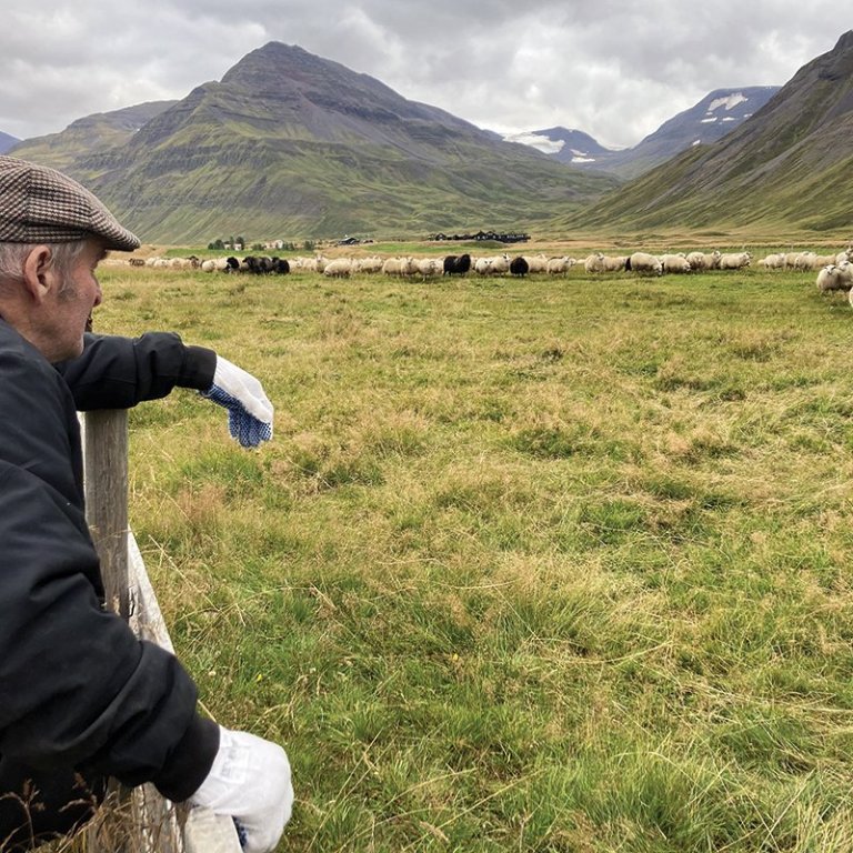 Númi Jónsson, fyrrun bóndi á Þrasastöðum, lítur yfir safnið. MYND: HALLDÓR GUNNAR