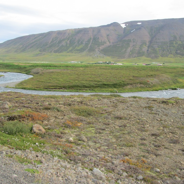 Bjartsýnir á að ekki verði mikið kal