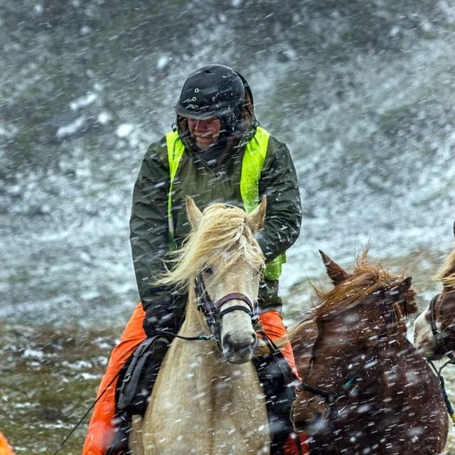 Smalamenn á Grímstunguheiði fengu óblítt veður í síðustu viku og þurfti að seinka réttum í Undirfellsrétt um tvo daga. Á myndinni má sjá Karl Gústaf Davíðsson leggja af stað frá Öldumóðaskála sl. föstudagsmorgun. Mynd: Holgeir Páll Sæmundsson.
