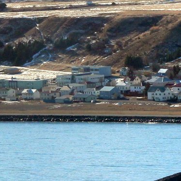 Vilja byggja fjölda íbúða á Freyjugötureitnum