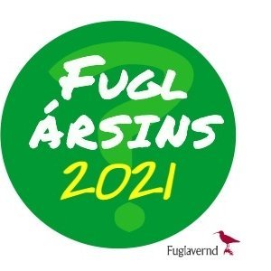 Leitin að Fugli ársins 2021 er hafin