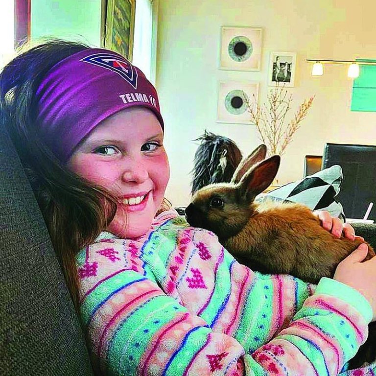 Telma og Kakó uppi í sófa:) Myndir aðsendar