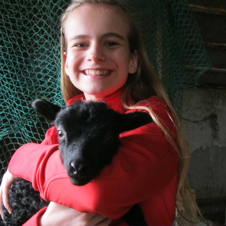 Ráðstefna um stuttrófukyn sauðfjár