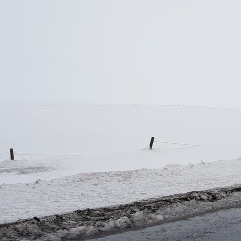 Enn er mikill snjór á Norðurlandi og girðingar víða á kafi. Hmf. Skagfirðingur vill koma þeim skilaboðum til allra að fara varlega með flugelda ef hross eru í nágrenninu. Einnig ættu hrossaeigendur að gera ráðstafanir ef hross eru nálægt þekktum skotsvæðum. Mynd: PF.