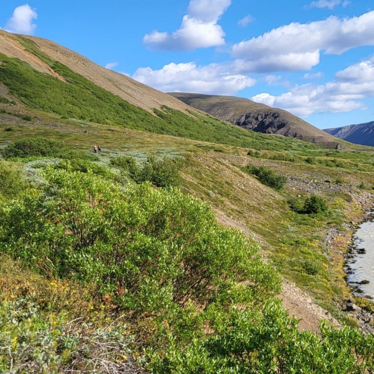 Gísli Frostason á Sandgili. Fagrahlíðin í baksýn. Mynd: Gísli Rúnar Konráðsson.