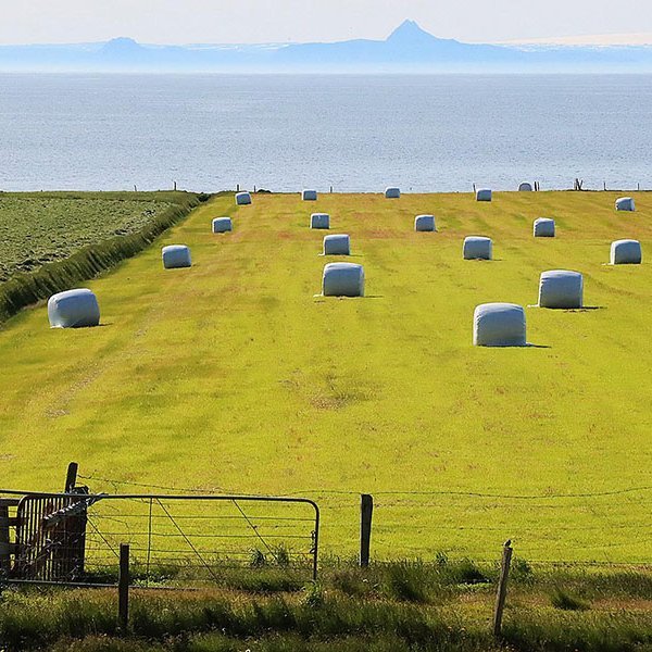 Það styttist vonandi í svona sumarstemningu. Sveitt mistur á vestanverðum Skaga með sýn yfir á Strandir. MYND: ÓAB
