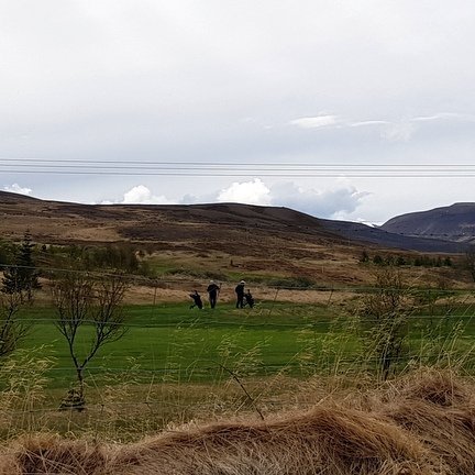 Golfarar í góðri sveiflu í maí sl. Mynd: PF.