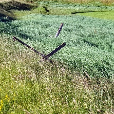 Myndin tengist fréttinni ekki beint. PF.