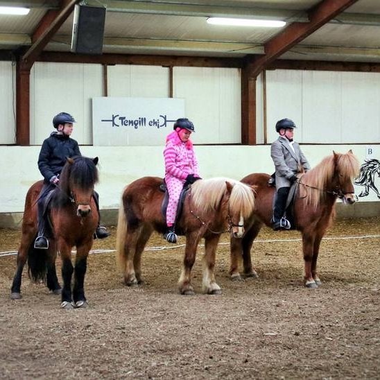 Grímutöltmót Neista var vel sótt. Mynd: Facebooksíða Hestamannafélagsins Neista.