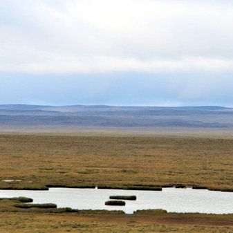 Guðlaugstungur, ásamt Svörtutungum og Álfgeirstungum (Ásgeirstungur) hafa mjög hátt alþjóðlegt verndargildi og hefur verið Ramsarsvæði frá 2013 ásamt því að vera á skrá yfir alþjóðlega mikilvæg fuglasvæði (International Bird Area), segir á vef Umhverfisstofnunar en þaðan er meðfylgjandi mynd af svæðinu tekin.