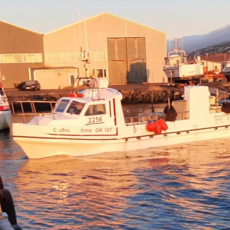 Guðrún Petrína aflahæsti grásleppubáturinn á Norðurlandi vestra árið 2023. Mynd tekin af Facebook-síðu Skagastrandarhafnar.