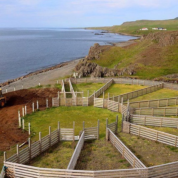 Séð yfir Hamarsrétt. MYNDIR: ÓAB