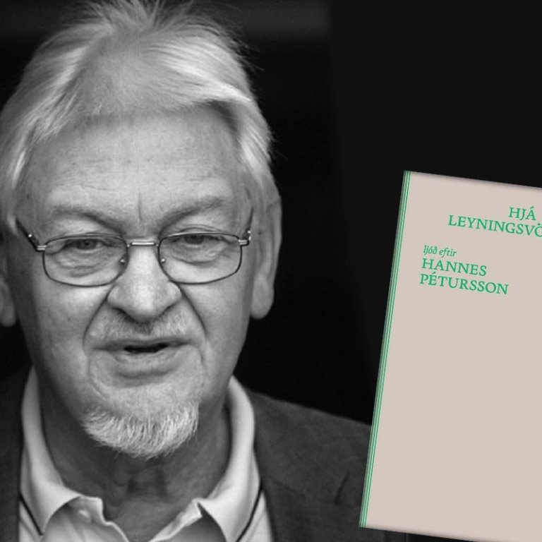 Hannes Pétursson. MYND: EINAR FALUR