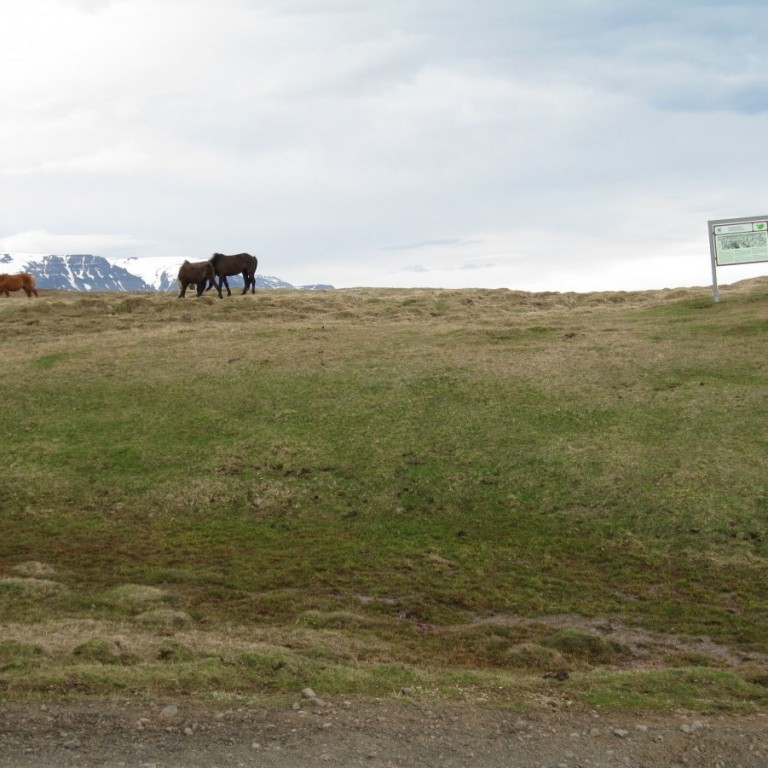 Deiliskipulag Hegranesþingstaðar