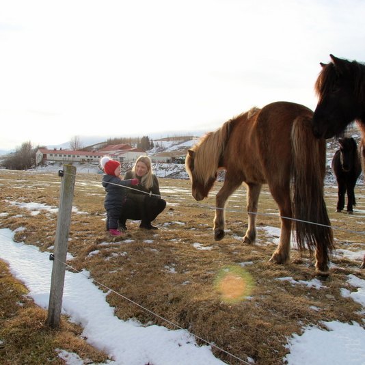Mæðgurnar Heiðrún Ósk Eymundsdóttir og Árdís Hekla Pétursdóttir í hestahólfinu í Saurbæ á þeim stað sem Blöndulína 3 mun liggja samkvæmt nýjustu tilllögu Svf. Skagafjarðar. Mynd: PF.