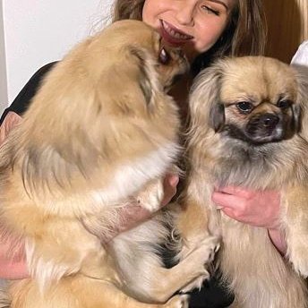 Hekla og hundarnir Ludo og Astro. Mynd aðsend.