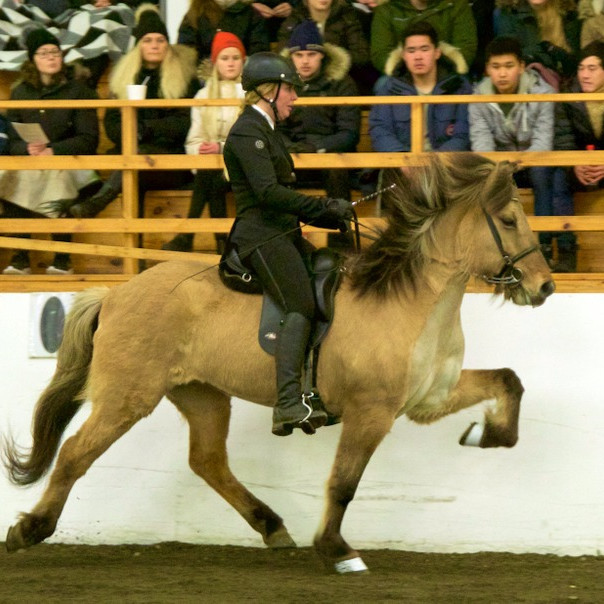 Helga Una Björnsdóttir og Þoka frá Hamarsey. Mynd: KS deildin.