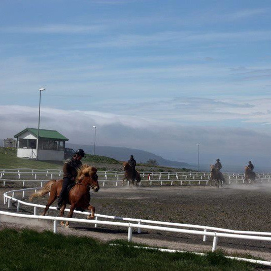 Mynd: Hestamannafélagið Þytur, Facebooksíða.