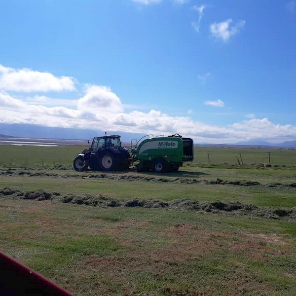 Verið að binda á Gili en myndin er fengin af FB síðu Ómars bónda.