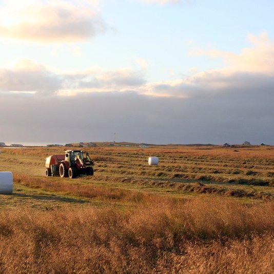 Heyskapur í Fljótum. Mynd úr safni Feykis.