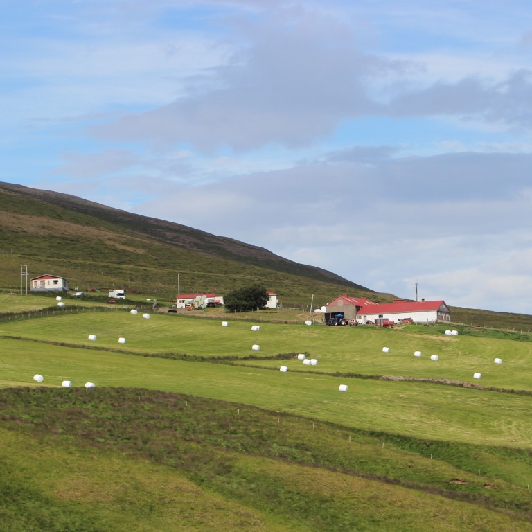 Þessi mynd var tekin á Veðramóti í Gönguskörðum í síðustu viku. Mynd: KSE