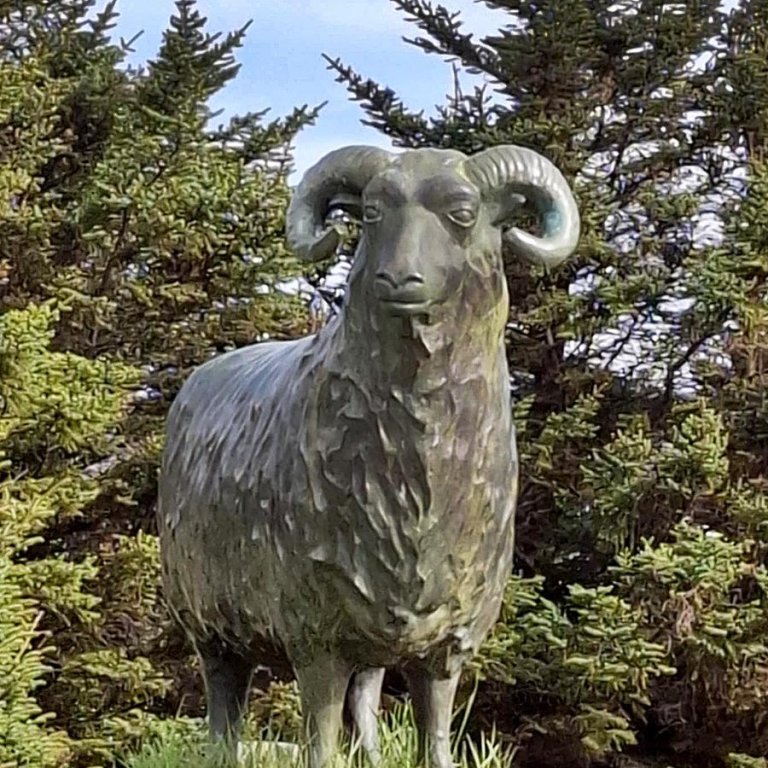 Þetta er hann Tungukotsmóri sem er listaverk eftir Ólöfu Nordal sem er á lóð Heilbrigðisstofnunarinna. Hann á að minna íbúa á að hlúa vel að stofnuninni. MYND: GUÐMUNDUR HAUKUR