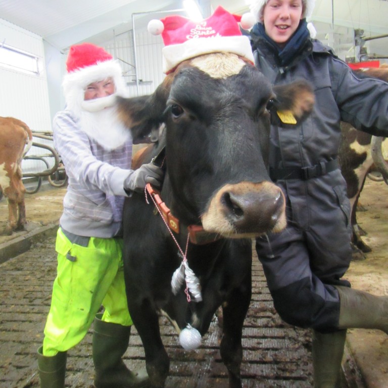 Jólin, jólin alls staðar