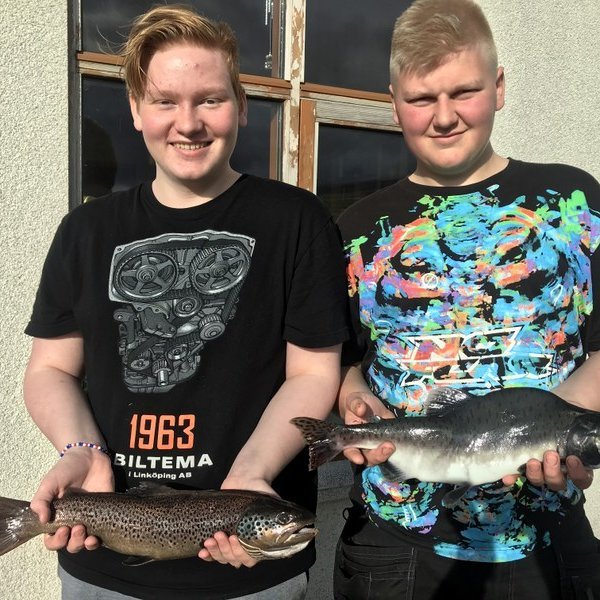 Hér heldur Helgi á urriðanum en Stefán Ármann handleikur hnúðlaxinn. Myndir aðsendar.