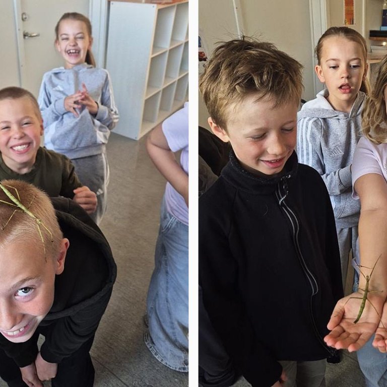 Hananú! MYNDIR AF VEF HÖFÐASKÓLA