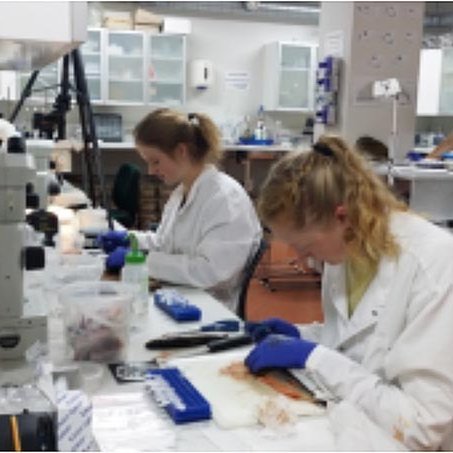 Erlendir verknemendur vinna að rannsóknum. MYND: HÓLAR.IS